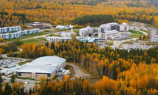 Universidad en canada
